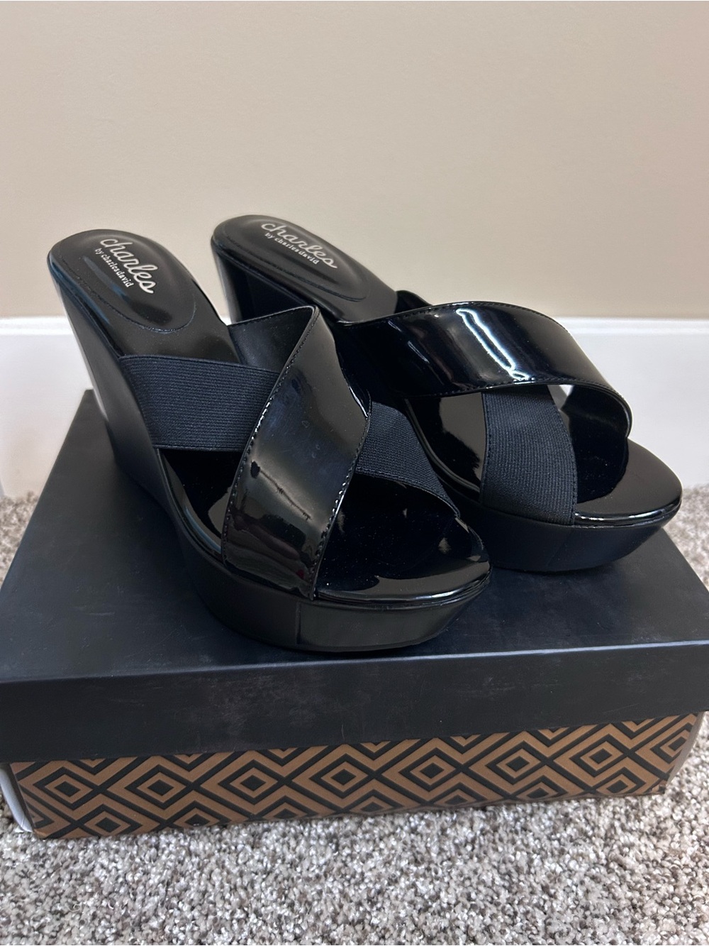 Charles by Charles David platform wedge sandals size 7.5